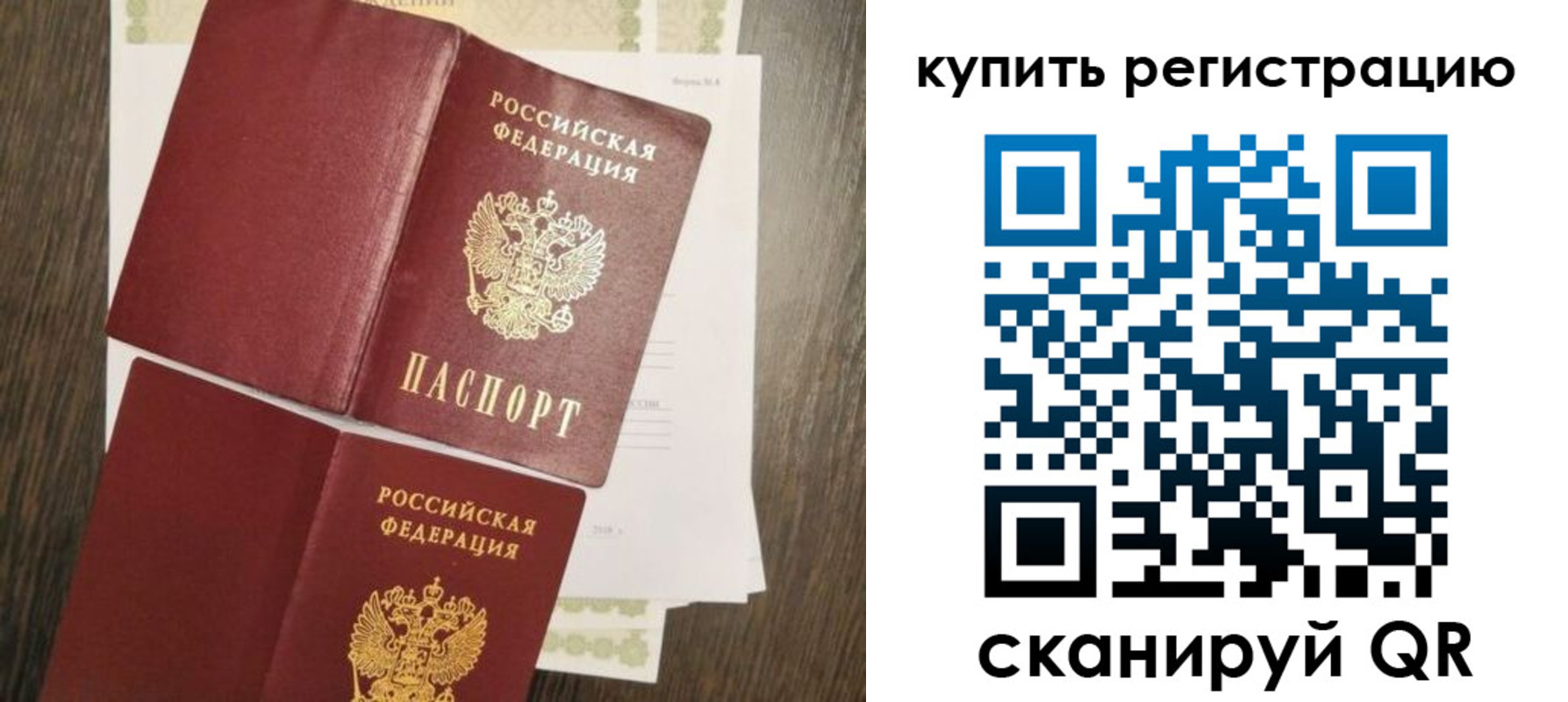 прописка 2025 в Сольцах